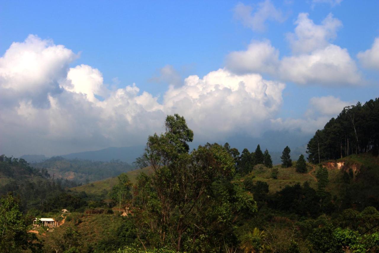 Green Paradise Ella Luaran gambar