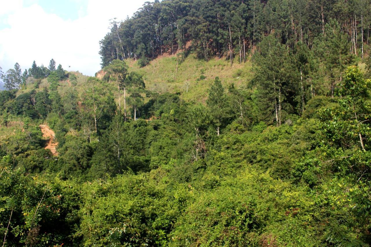 Green Paradise Ella Luaran gambar