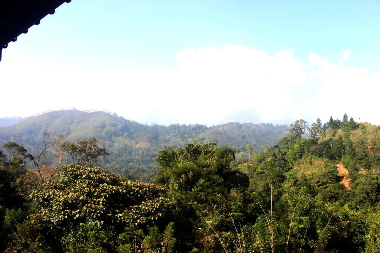 Green Paradise Ella Luaran gambar