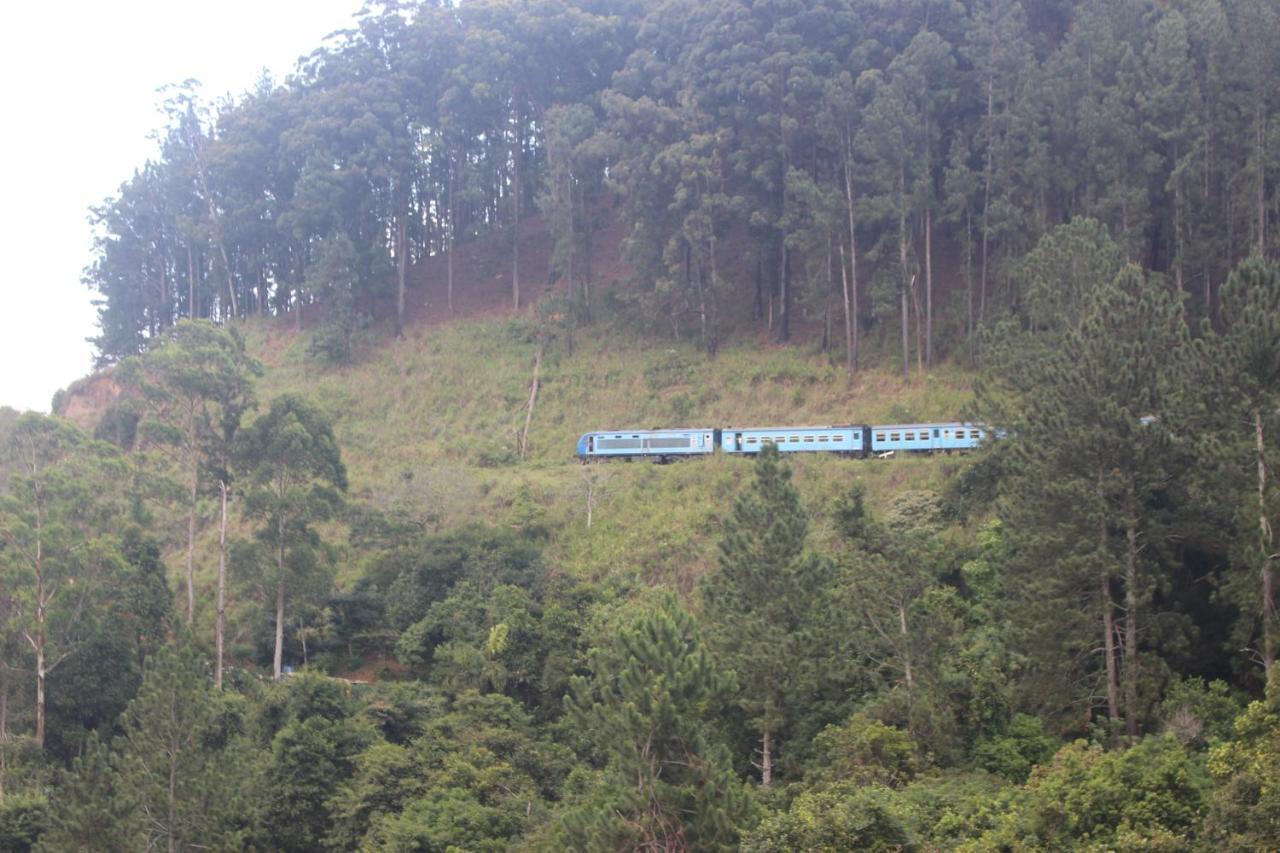 Green Paradise Ella Luaran gambar