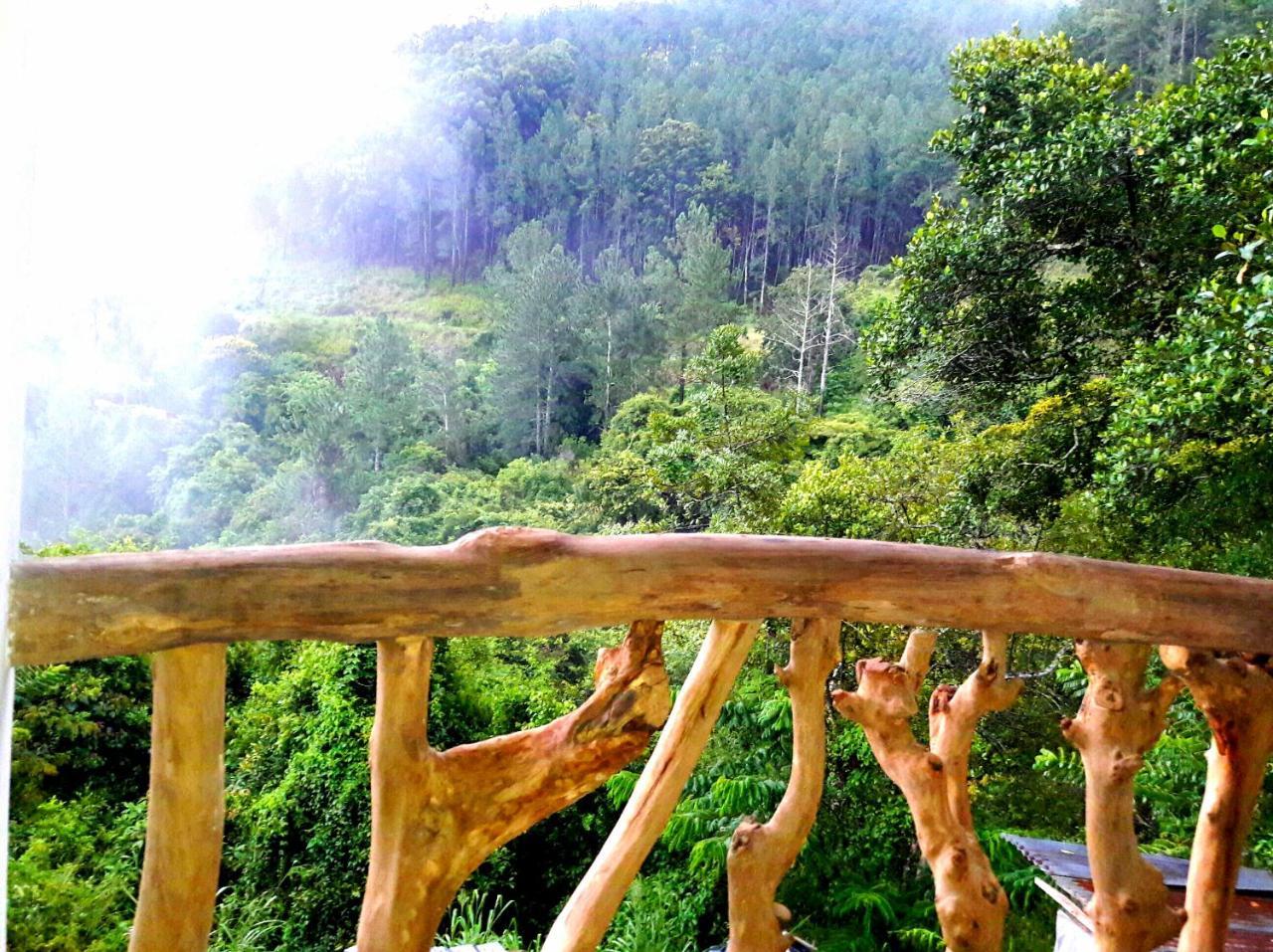 Green Paradise Ella Luaran gambar