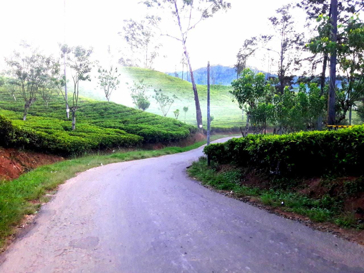 Green Paradise Ella Luaran gambar